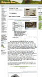 Mobile Screenshot of krivandino.ru